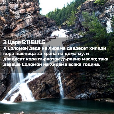 Picture 02 - 3 Царе 5:11 BULG - А Соломон даде на Хирама - Bible Verse Picture