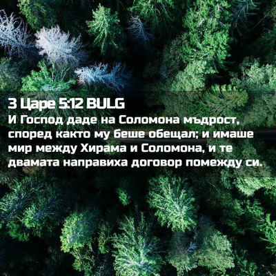 Picture 02 - 3 Царе 5:12 BULG - И Господ даде на Соломона - Bible Verse Picture