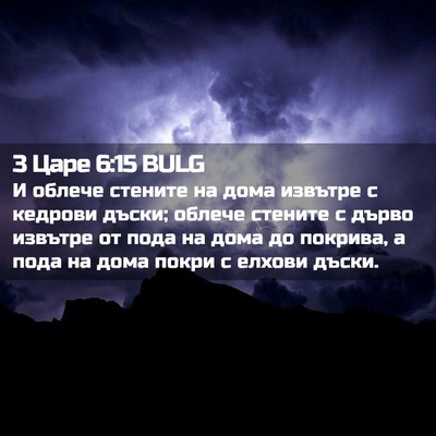 Picture 02 - 3 Царе 6:15 BULG - И облече стените на дома - Bible Verse Picture