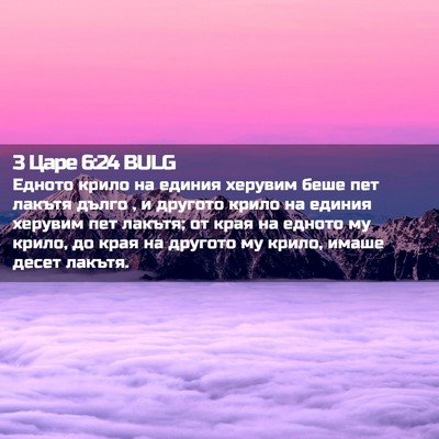 Picture 02 - 3 Царе 6:24 BULG - Едното крило на единия - Bible Verse Picture