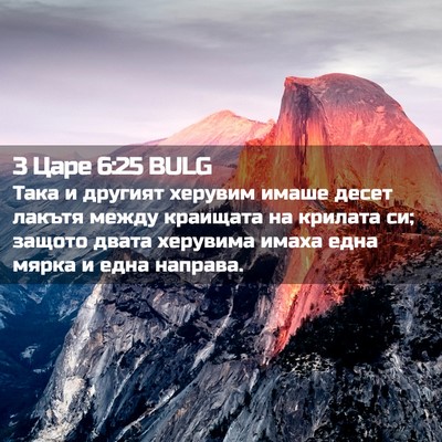 Picture 02 - 3 Царе 6:25 BULG - Така и другият херувим - Bible Verse Picture