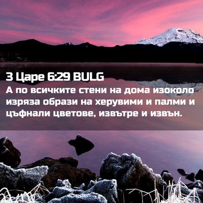 Picture 02 - 3 Царе 6:29 BULG - А по всичките стени на дома - Bible Verse Picture