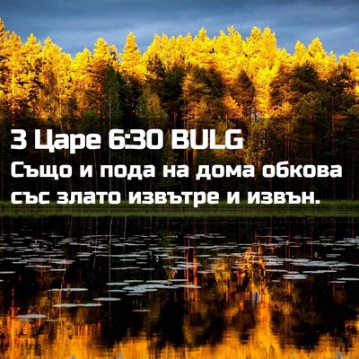 Picture 02 - 3 Царе 6:30 BULG - Също и пода на дома обкова - Bible Verse Picture