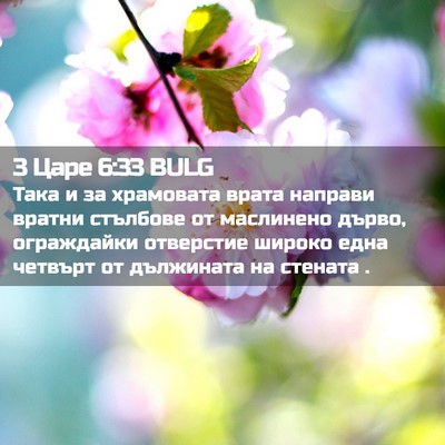 Picture 02 - 3 Царе 6:33 BULG - Така и за храмовата врата - Bible Verse Picture