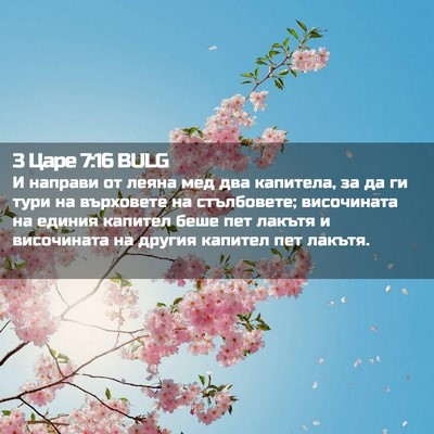 Picture 02 - 3 Царе 7:16 BULG - И направи от леяна мед два - Bible Verse Picture