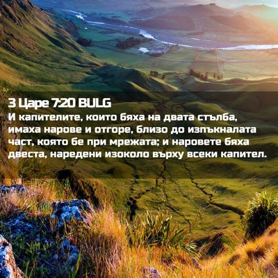Picture 02 - 3 Царе 7:20 BULG - И капителите, които бяха на - Bible Verse Picture