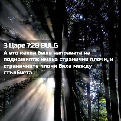Picture 02 - 3 Царе 7:28 BULG - А ето каква беше направата - Bible Verse Picture