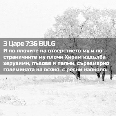 Picture 02 - 3 Царе 7:36 BULG - И по плочите на - Bible Verse Picture