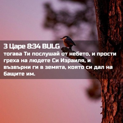 Picture 02 - 3 Царе 8:34 BULG - тогава Ти послушай от - Bible Verse Picture