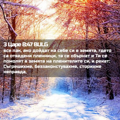Picture 02 - 3 Царе 8:47 BULG - все пак, ако дойдат на себе - Bible Verse Picture