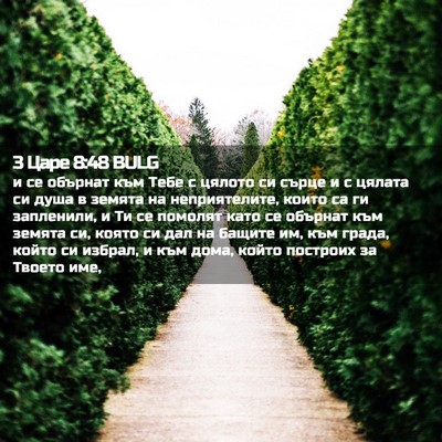 Picture 02 - 3 Царе 8:48 BULG - и се обърнат към Тебе с - Bible Verse Picture