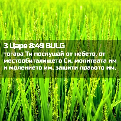 Picture 02 - 3 Царе 8:49 BULG - тогава Ти послушай от - Bible Verse Picture
