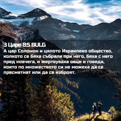Picture 02 - 3 Царе 8:5 BULG - А цар Соломон и цялото - Bible Verse Picture