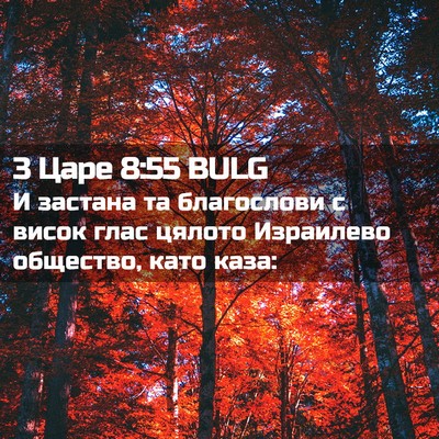 Picture 02 - 3 Царе 8:55 BULG - И застана та благослови с - Bible Verse Picture