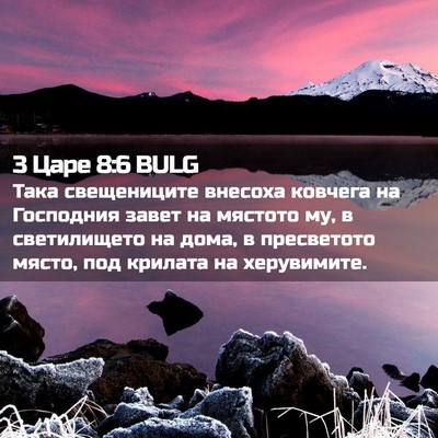 Picture 02 - 3 Царе 8:6 BULG - Така свещениците внесоха - Bible Verse Picture