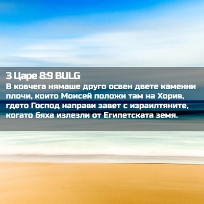 Picture 02 - 3 Царе 8:9 BULG - В ковчега нямаше друго - Bible Verse Picture