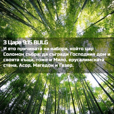 Picture 02 - 3 Царе 9:15 BULG - И ето причината на набора, - Bible Verse Picture