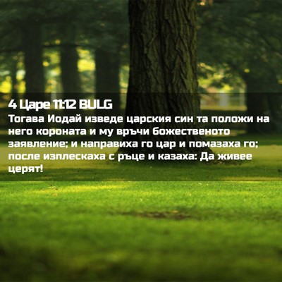 Picture 02 - 4 Царе 11:12 BULG - Тогава Иодай изведе - Bible Verse Picture