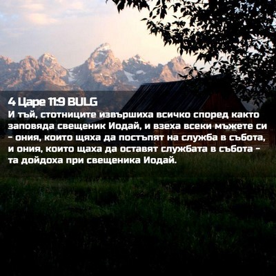 Picture 02 - 4 Царе 11:9 BULG - И тъй, стотниците - Bible Verse Picture