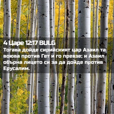Picture 02 - 4 Царе 12:17 BULG - Тогава дойде сирийският - Bible Verse Picture