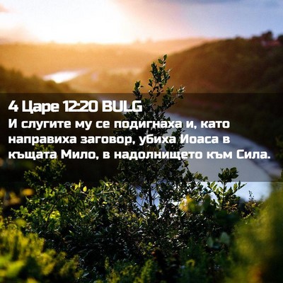 Picture 02 - 4 Царе 12:20 BULG - И слугите му се подигнаха - Bible Verse Picture