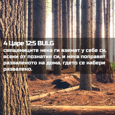 Picture 02 - 4 Царе 12:5 BULG - свещениците нека ги вземат - Bible Verse Picture