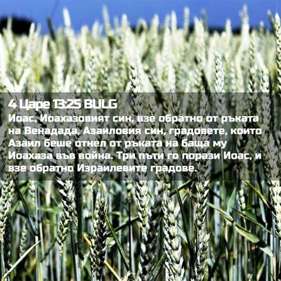 Picture 02 - 4 Царе 13:25 BULG - Иоас, Иоахазовият син, взе - Bible Verse Picture
