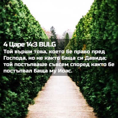 Picture 02 - 4 Царе 14:3 BULG - Той върши това, което бе - Bible Verse Picture