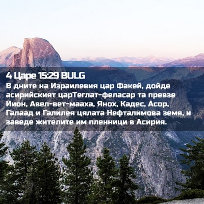 Picture 02 - 4 Царе 15:29 BULG - В дните на Израилевия цар - Bible Verse Picture