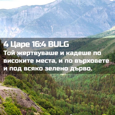 Picture 02 - 4 Царе 16:4 BULG - Той жертвуваше и кадеше по - Bible Verse Picture