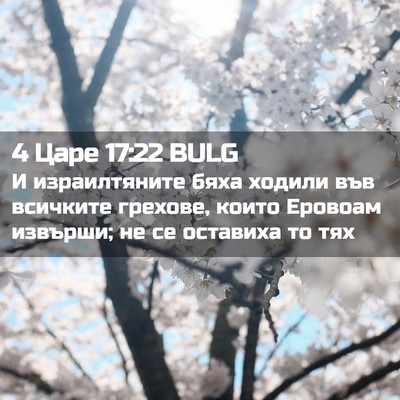 Picture 02 - 4 Царе 17:22 BULG - И израилтяните бяха ходили - Bible Verse Picture