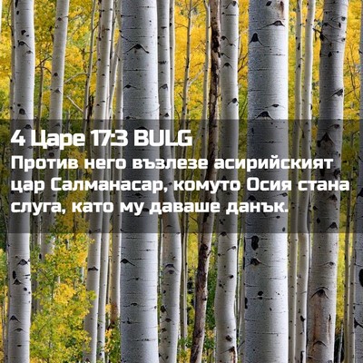 Picture 02 - 4 Царе 17:3 BULG - Против него възлезе - Bible Verse Picture