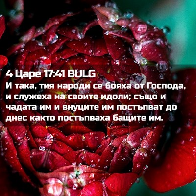 Picture 02 - 4 Царе 17:41 BULG - И така, тия народи се бояха - Bible Verse Picture