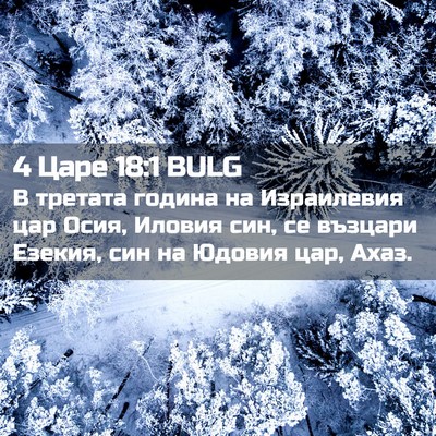 Picture 02 - 4 Царе 18:1 BULG - В третата година на - Bible Verse Picture