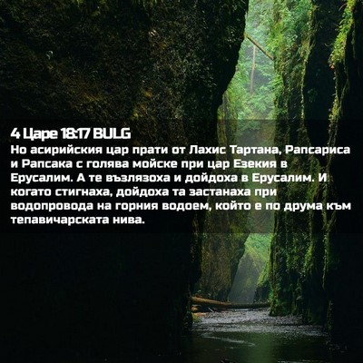 Picture 02 - 4 Царе 18:17 BULG - Но асирийския цар прати от - Bible Verse Picture