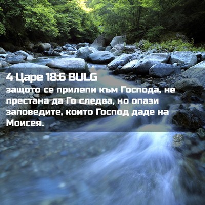 Picture 02 - 4 Царе 18:6 BULG - защото се прилепи към - Bible Verse Picture
