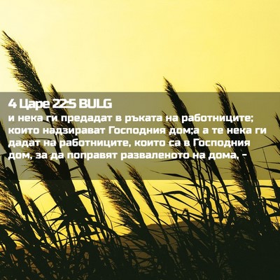 Picture 02 - 4 Царе 22:5 BULG - и нека ги предадат в ръката - Bible Verse Picture