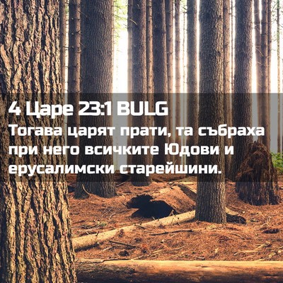 Picture 02 - 4 Царе 23:1 BULG - Тогава царят прати, та - Bible Verse Picture