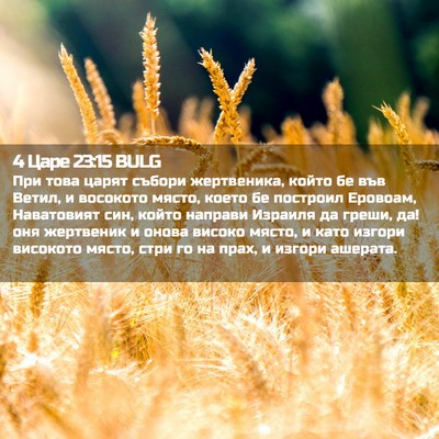 Picture 02 - 4 Царе 23:15 BULG - При това царят събори - Bible Verse Picture