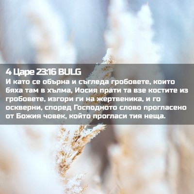 Picture 02 - 4 Царе 23:16 BULG - И като се обърна и съгледа - Bible Verse Picture