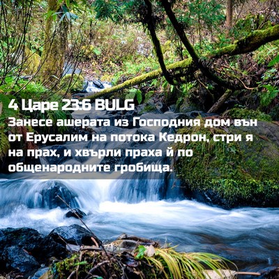Picture 02 - 4 Царе 23:6 BULG - Занесе ашерата из - Bible Verse Picture