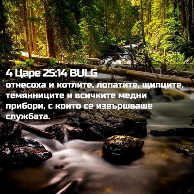 Picture 02 - 4 Царе 25:14 BULG - отнесоха и котлите, - Bible Verse Picture