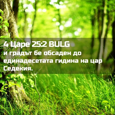Picture 02 - 4 Царе 25:2 BULG - и градът бе обсаден до - Bible Verse Picture