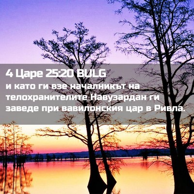 Picture 02 - 4 Царе 25:20 BULG - и като ги взе началникът на - Bible Verse Picture