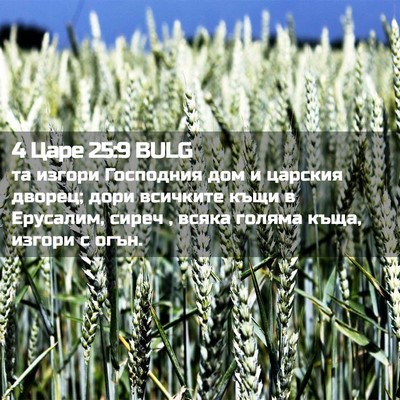 Picture 02 - 4 Царе 25:9 BULG - та изгори Господния дом и - Bible Verse Picture