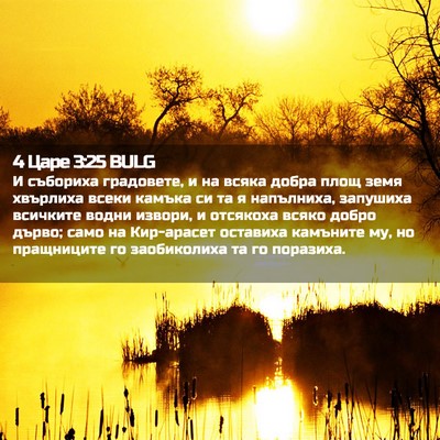 Picture 02 - 4 Царе 3:25 BULG - И събориха градовете, и на - Bible Verse Picture