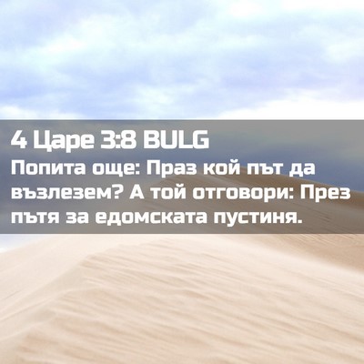 Picture 02 - 4 Царе 3:8 BULG - Попита още: Праз кой път да - Bible Verse Picture