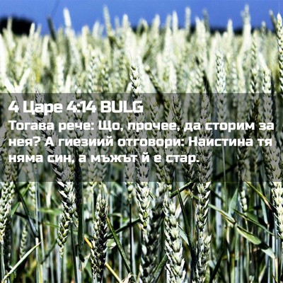 Picture 02 - 4 Царе 4:14 BULG - Тогава рече: Що, прочее, да - Bible Verse Picture