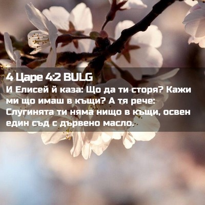 Picture 02 - 4 Царе 4:2 BULG - И Елисей й каза: Що да ти - Bible Verse Picture