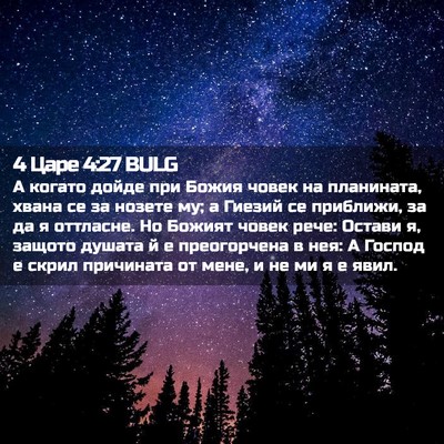 Picture 02 - 4 Царе 4:27 BULG - А когато дойде при Божия - Bible Verse Picture